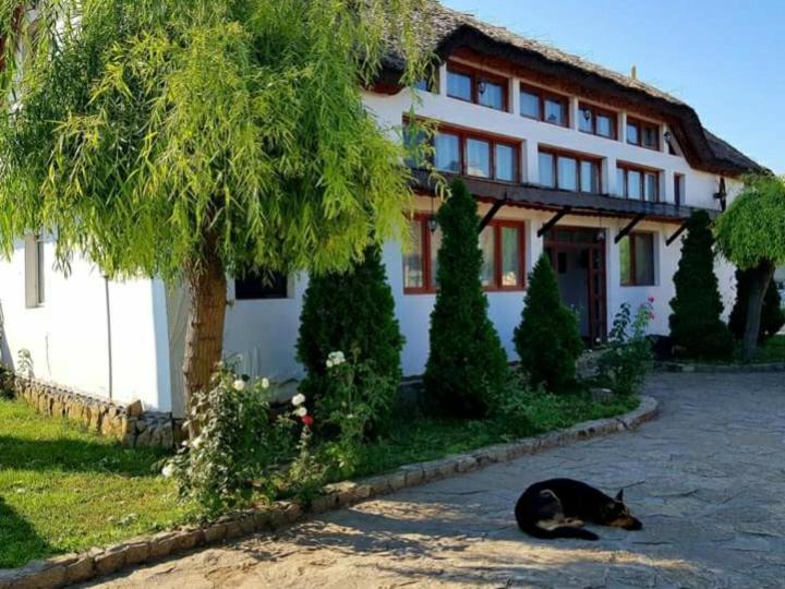 Casa Cu Flori Murighiol Exterior photo