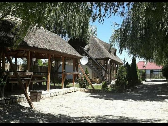 Casa Cu Flori Murighiol Exterior photo